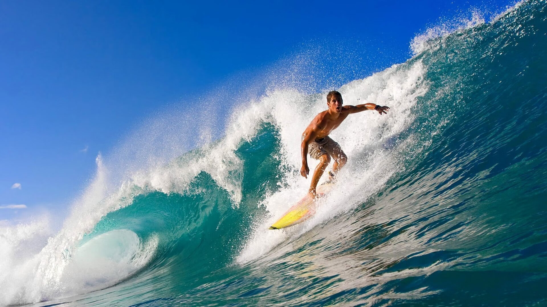 球员训练专注度获好评,职业球员训练