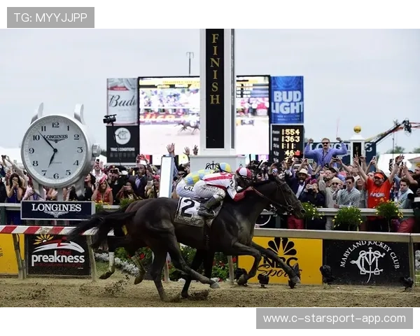 体育博彩合法化对赛事公平性的影响